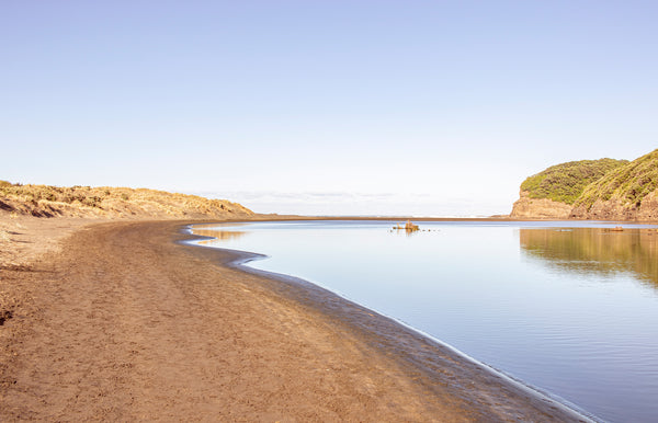 New Zealand beach landscape