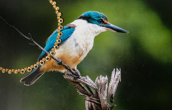 Bird photo with Vintage Necklace