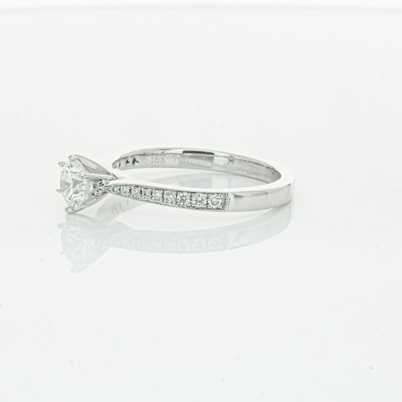 18ct White Gold .50ct Diamond Zenith Ring-Ring-Walker & Hall