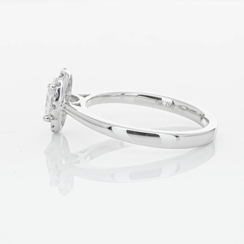18ct White Gold .50ct Oval Cut Diamond Nina Ring-Ring-Walker & Hall