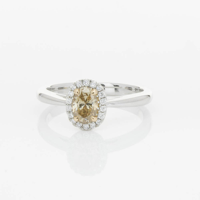 18ct White Gold .51ct Mocha Diamond Nina Ring-Ring-Walker & Hall