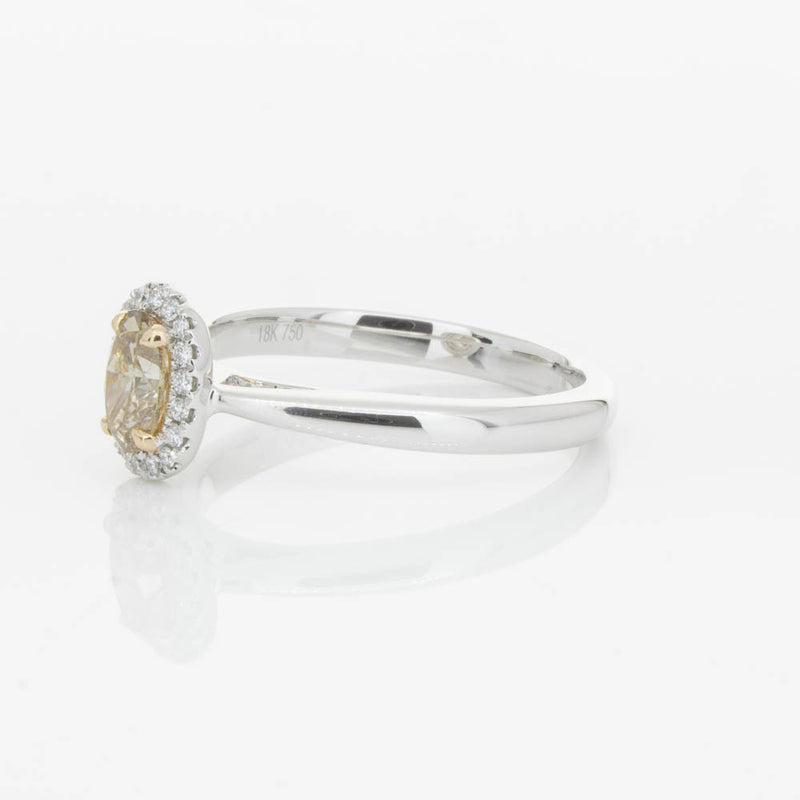 18ct White Gold .51ct Mocha Diamond Nina Ring-Ring-Walker & Hall