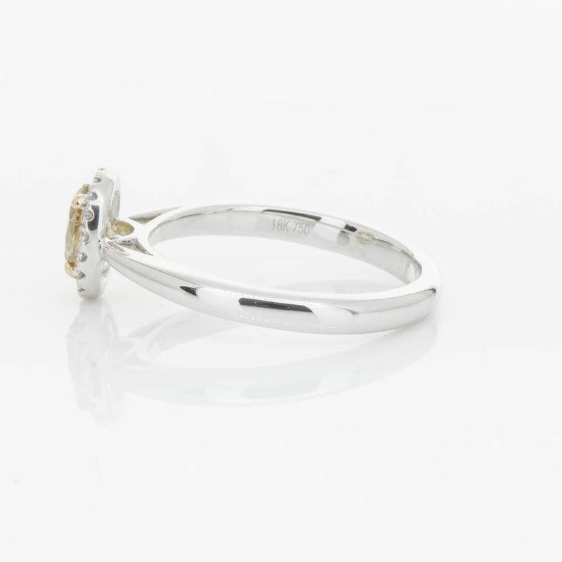 18ct White Gold .51ct Mocha Diamond Nina Ring-Ring-Walker & Hall