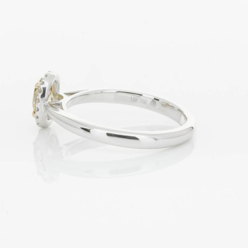 18ct White Gold .51ct Mocha Diamond Nina Ring-Ring-Walker & Hall