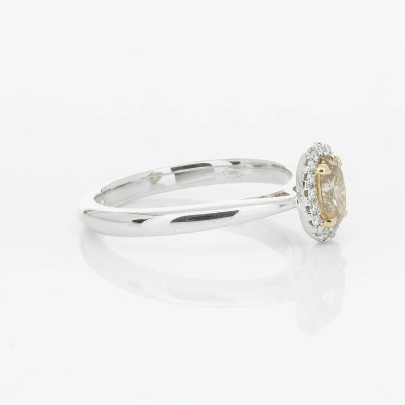 18ct White Gold .51ct Mocha Diamond Nina Ring-Ring-Walker & Hall