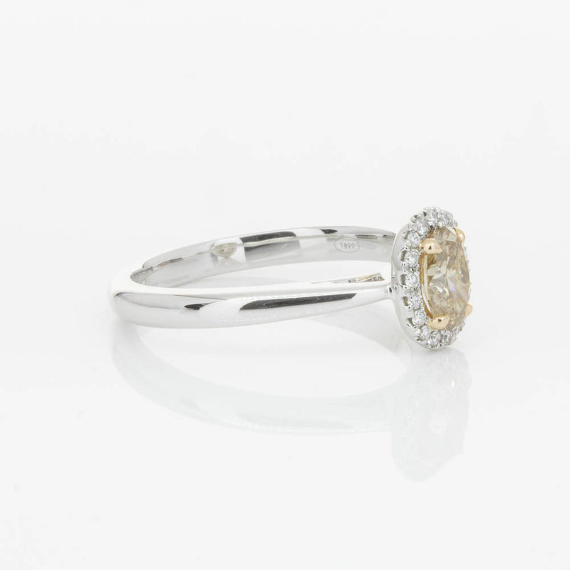 18ct White Gold .51ct Mocha Diamond Nina Ring-Ring-Walker & Hall