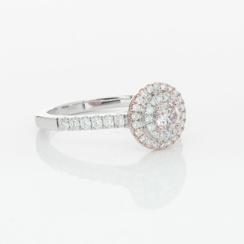 18ct White & Rose Gold .23ct Diamond Rosa Ring-Ring-Walker & Hall