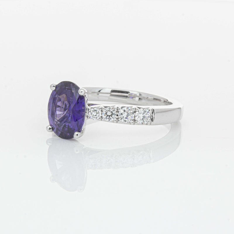 18ct White Gold 2.03ct Sapphire & Diamond Phoenix Ring-Ring-Walker & Hall