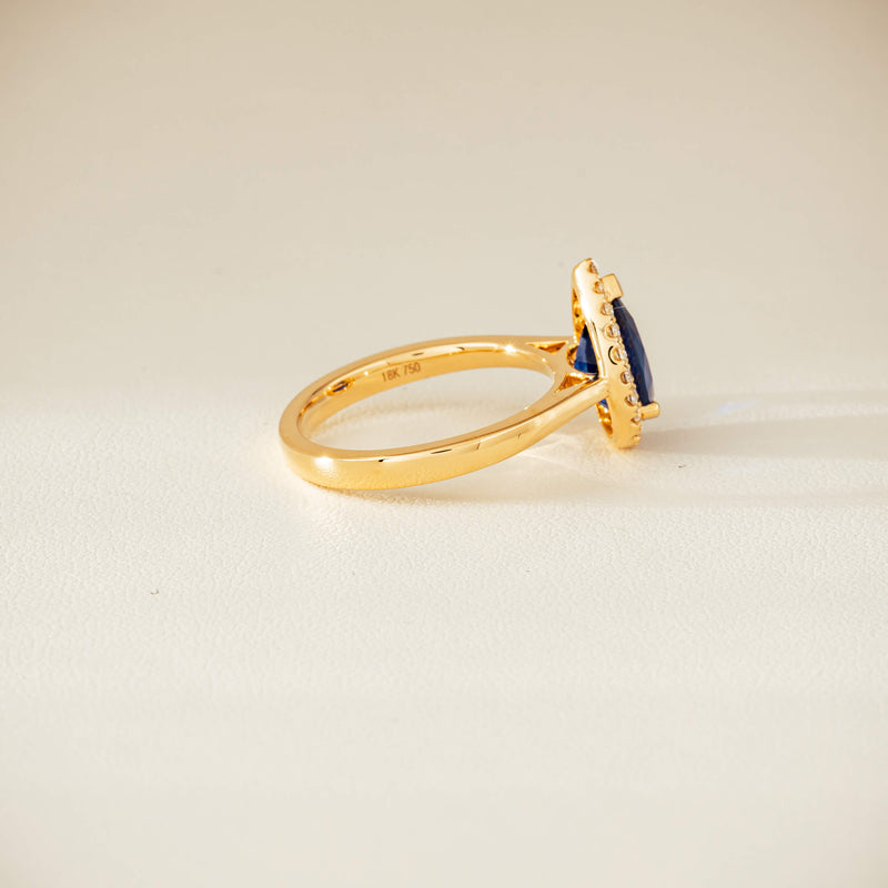 18ct Yellow Gold 2.40ct Sapphire & Diamond Nina Ring - Ring - Walker & Hall