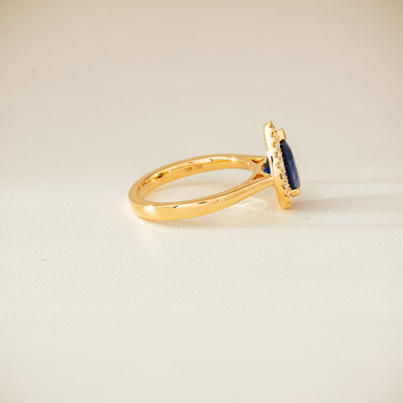 18ct Yellow Gold 2.40ct Sapphire & Diamond Nina Ring - Ring - Walker & Hall