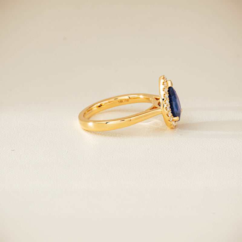 18ct Yellow Gold 2.40ct Sapphire & Diamond Nina Ring - Ring - Walker & Hall