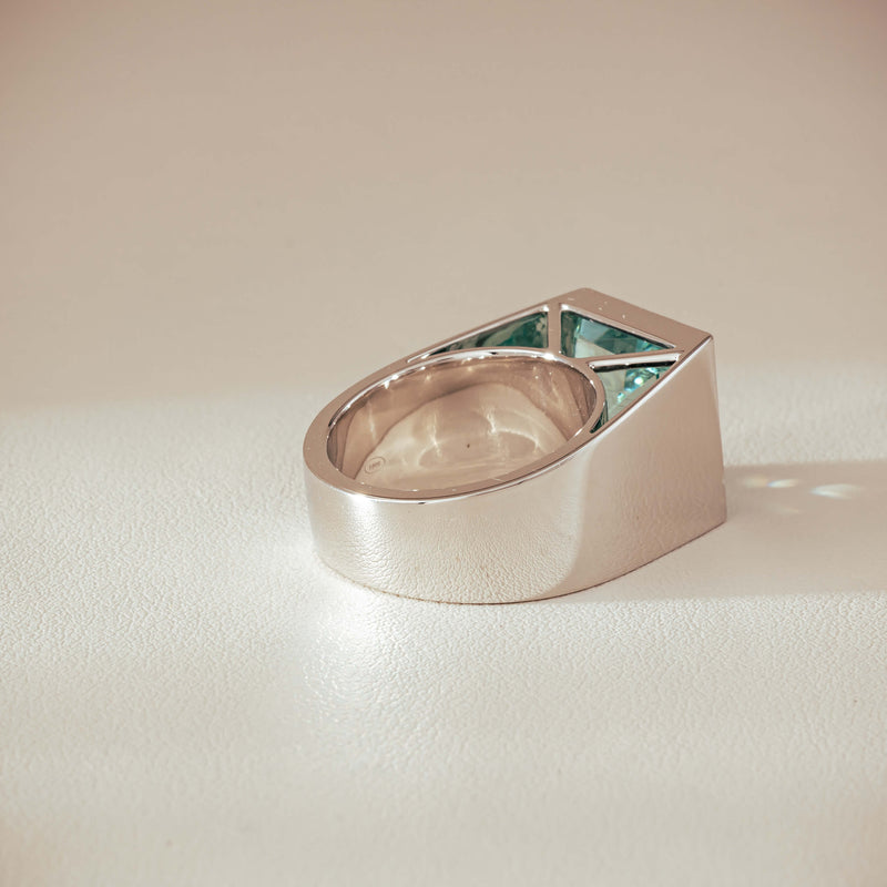 Platinum 9.65ct Aquamarine Flare Ring - Ring - Walker & Hall