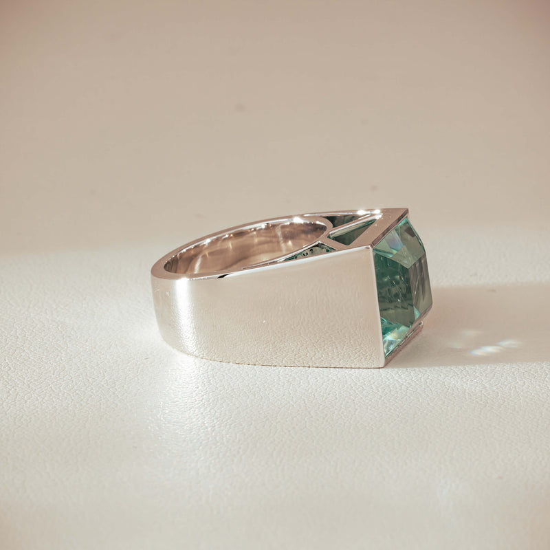 Platinum 9.65ct Aquamarine Flare Ring - Ring - Walker & Hall