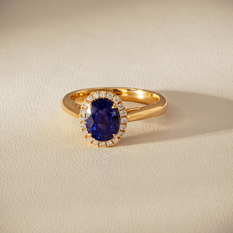 18ct Yellow Gold 2.46ct Sapphire & Diamond Nina Ring - Ring - Walker & Hall
