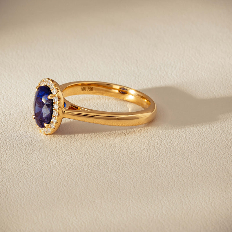 18ct Yellow Gold 2.46ct Sapphire & Diamond Nina Ring - Ring - Walker & Hall