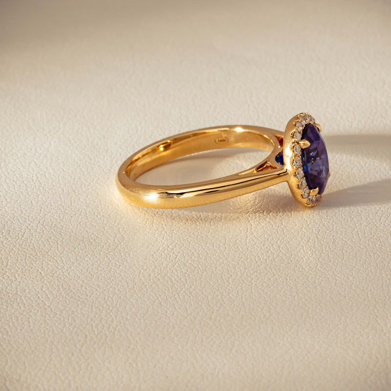 18ct Yellow Gold 2.46ct Sapphire & Diamond Nina Ring - Ring - Walker & Hall