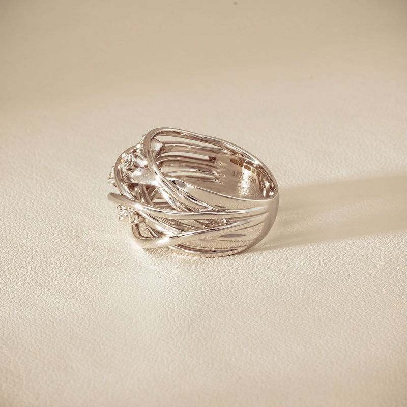 Deja Vu 18ct White Gold .24ct Diamond Orbit Weave Ring - Ring - Walker & Hall