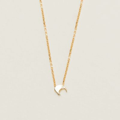 9ct Yellow Gold Noted Kiwi with Diamond Eyes Charm - Necklace - Walker & Hall