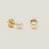 9ct Yellow Gold Akoya Pearl Studs - 6mm - Earrings - Walker & Hall