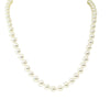 9ct Yellow Gold Akoya Pearl Strand - Necklace - Walker & Hall