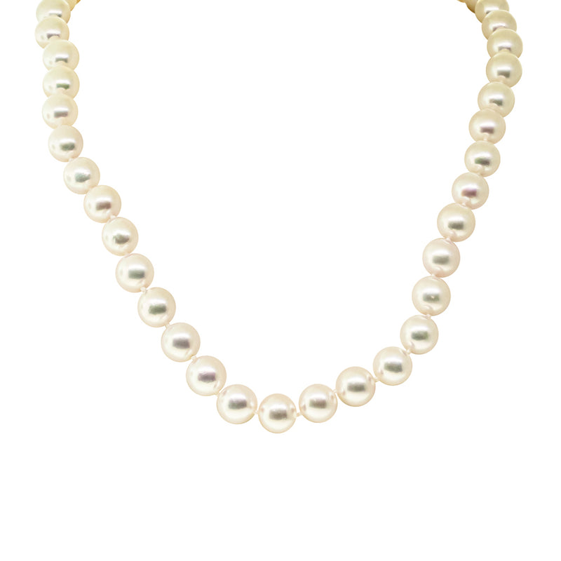 9ct Yellow Gold Akoya Pearl Strand - Necklace - Walker & Hall