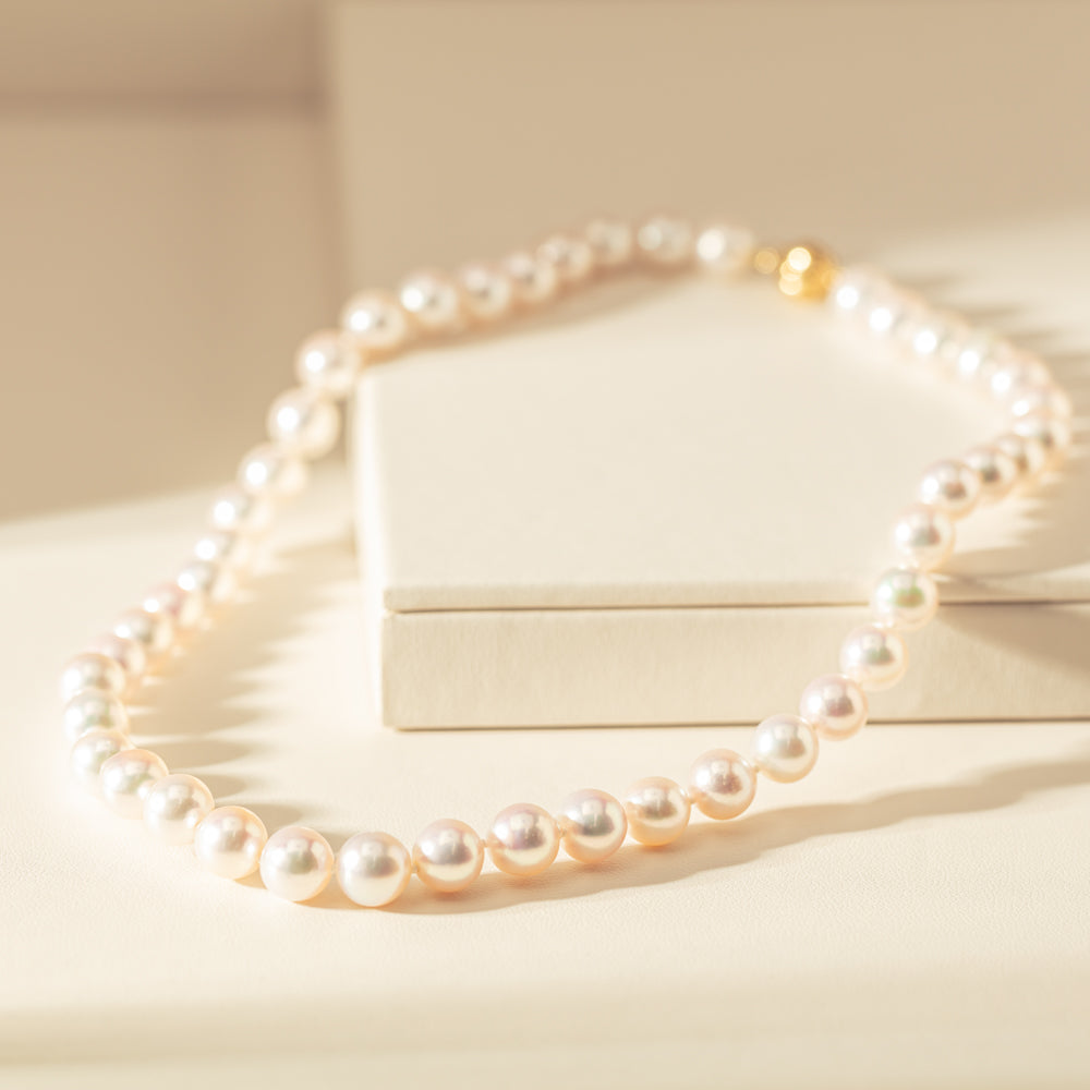 9ct Yellow Gold Akoya Pearl Strand - Necklace - Walker & Hall