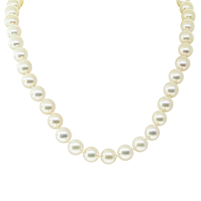 9ct Yellow Gold Akoya Pearl Strand - Necklace - Walker & Hall