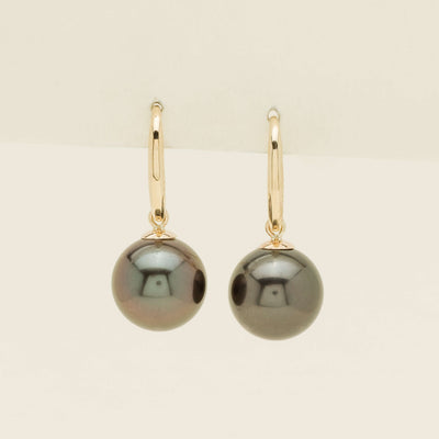 9ct Yellow Gold 10mm Tahitian Black Pearl Earrings - Earrings - Walker & Hall