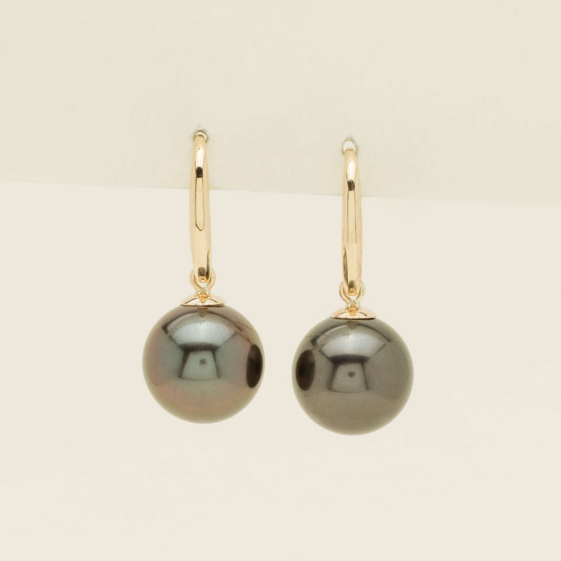 9ct Yellow Gold 10mm Tahitian Black Pearl Earrings - Earrings - Walker & Hall