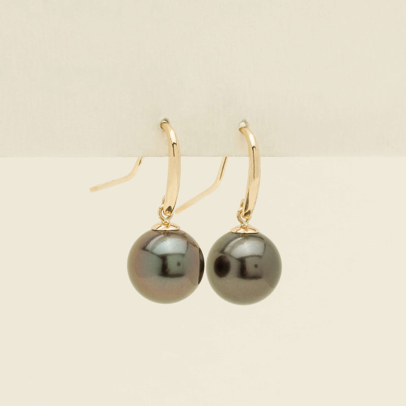 9ct Yellow Gold 10mm Tahitian Black Pearl Earrings - Earrings - Walker & Hall