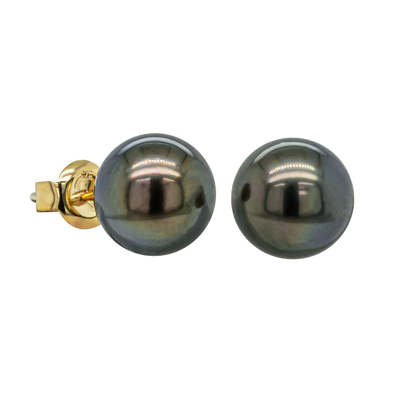 9ct Yellow Gold 9-9.5mm Tahitian Black Pearl Stud Earrings - Earrings - Walker & Hall