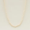 Deja Vu 9ct Yellow Gold 7-7.5mm Akoya Pearl Strand - Necklace - Walker & Hall