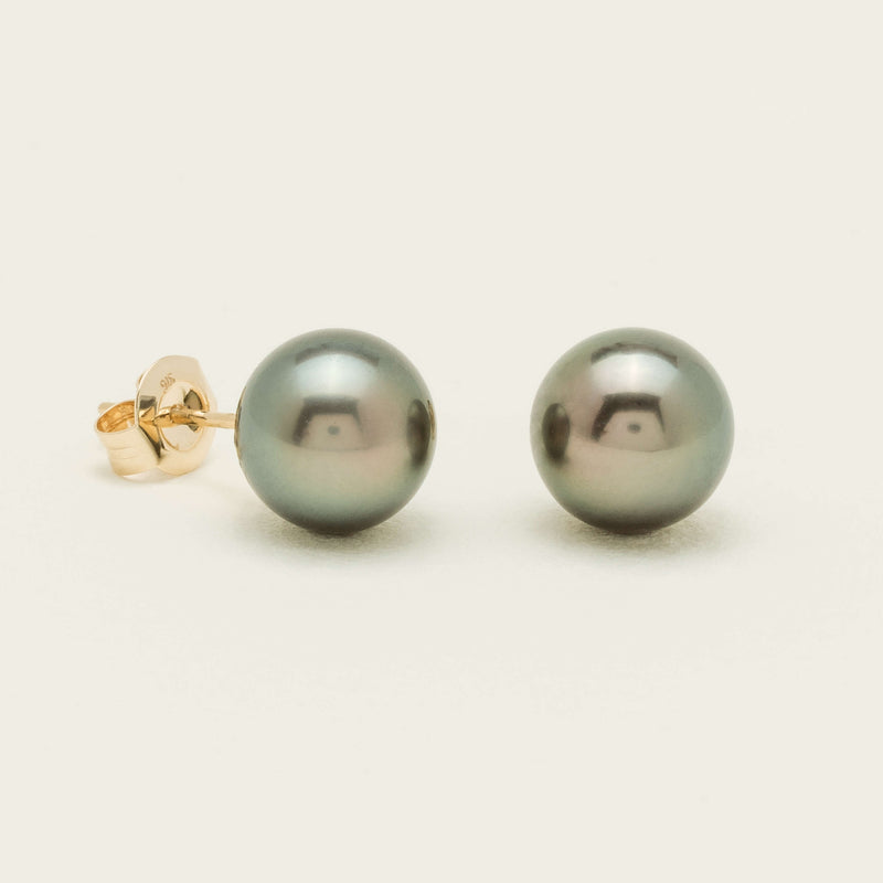 9ct Yellow Gold 8-8.5mm Tahitian Black Pearl Stud Earrings