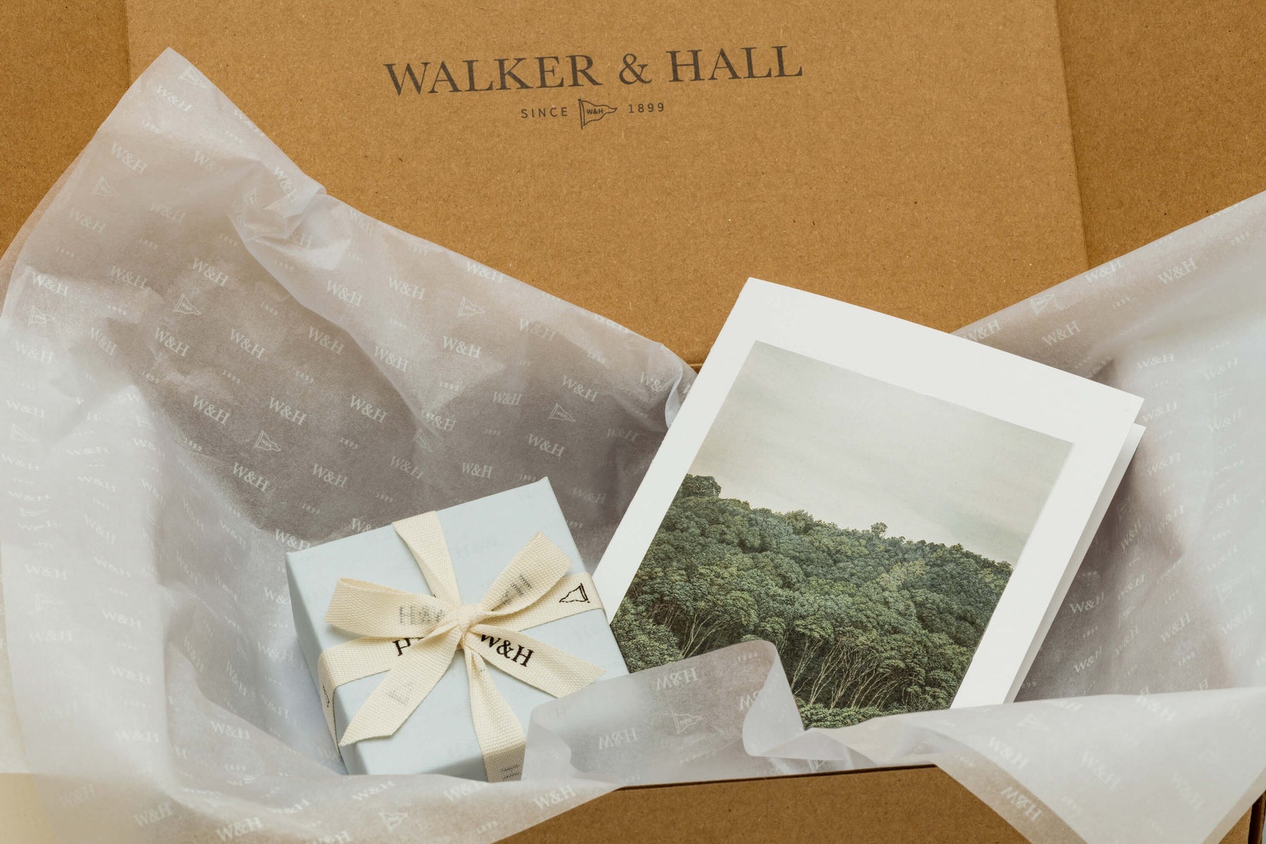 68A9225_copy_2 - Walker & Hall