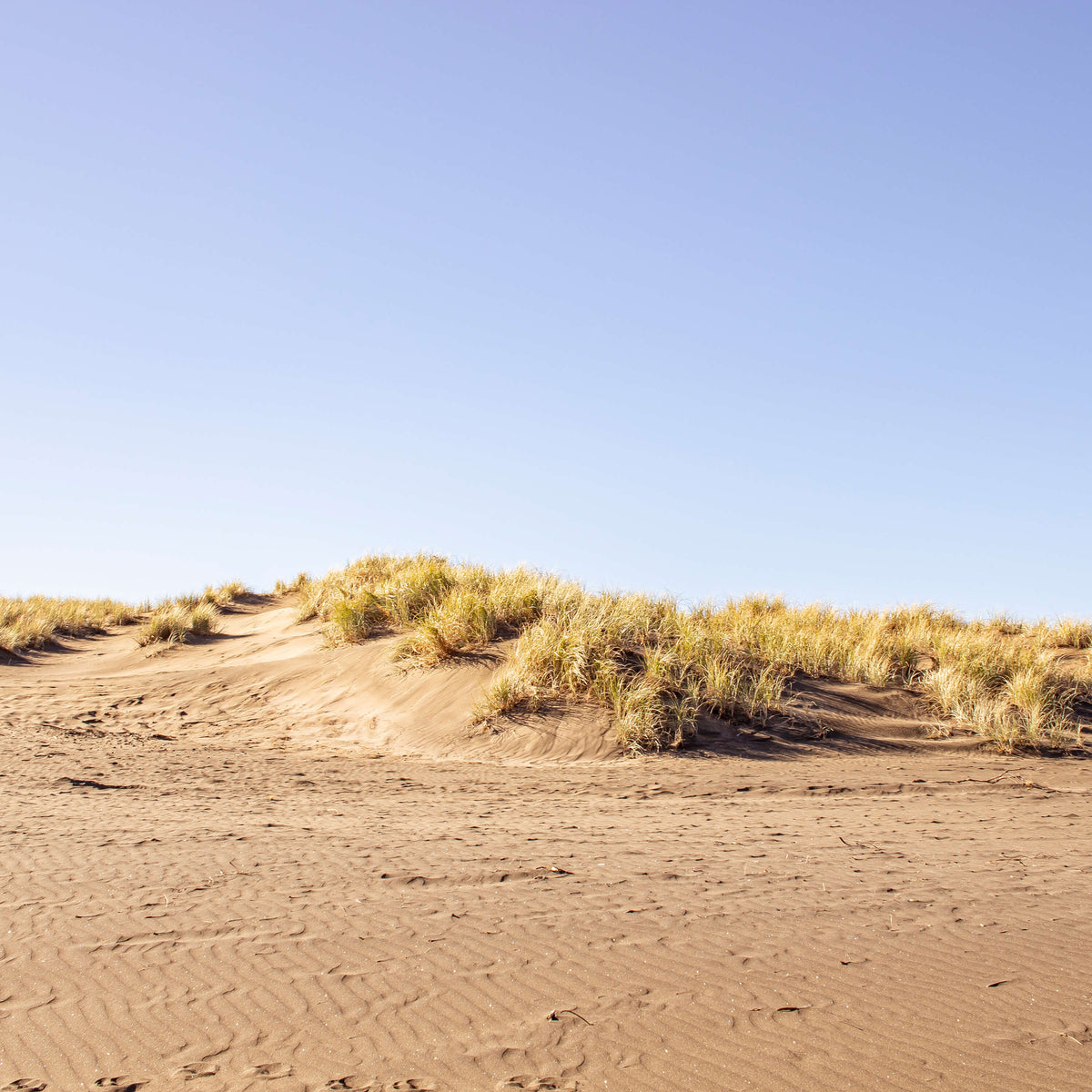 NZ beach landscape