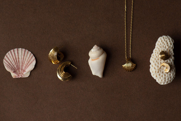 W&H x Z&M Lucia Jewellery collection displayed on shells