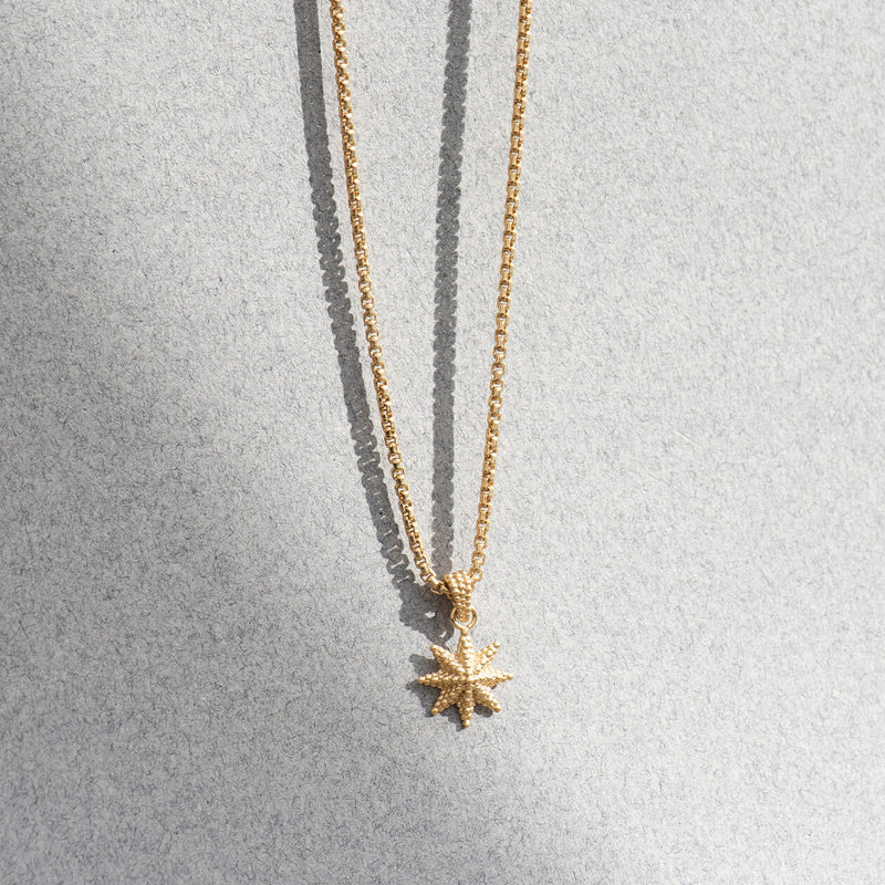 Zoe & Morgan Morning Star Necklace - Gold Vermeil-Necklace-Walker & Hall