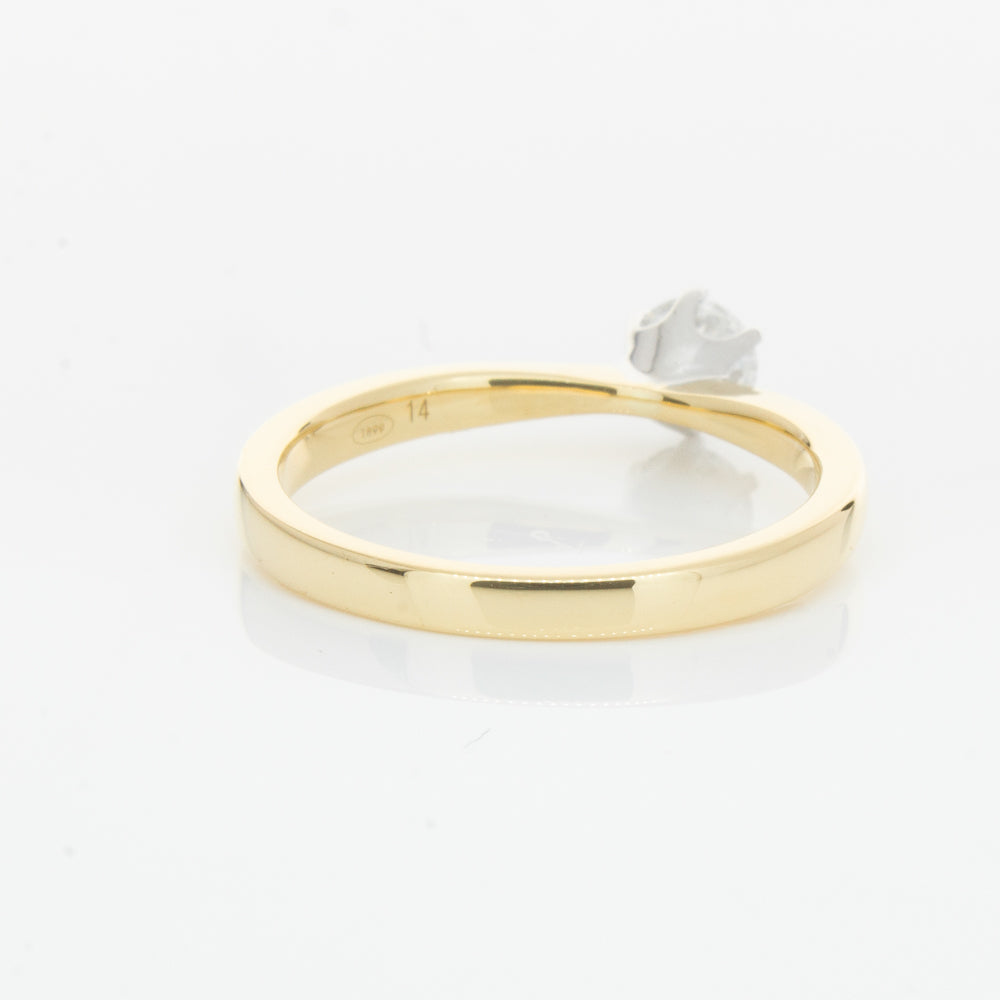 Nova extra white gold yellow outlet