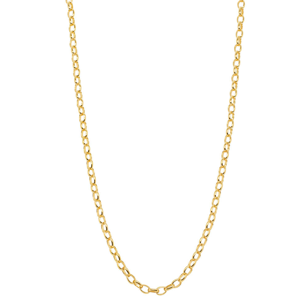 9ct Yellow Gold Oval Belcher Chain - Necklace - Walker & Hall