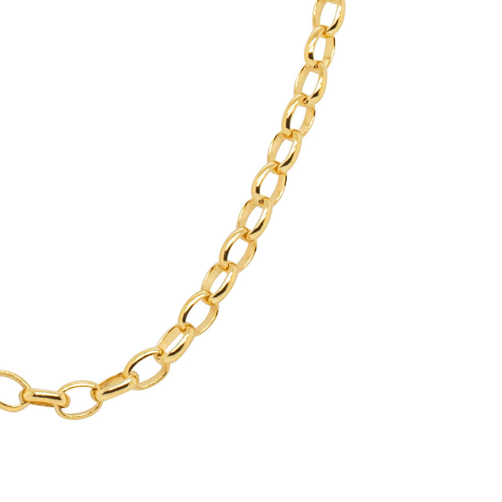 9ct Yellow Gold Oval Belcher Chain - Necklace - Walker & Hall