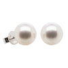 18ct White Gold 11.2mm South Sea Pearl Earrings - Walker & Hall
